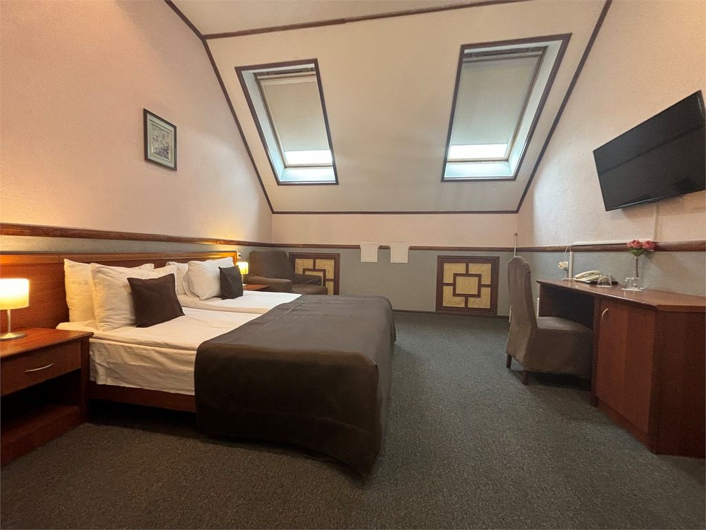 Двухместный номер с 1 кроватью стандарт с мансардным окном