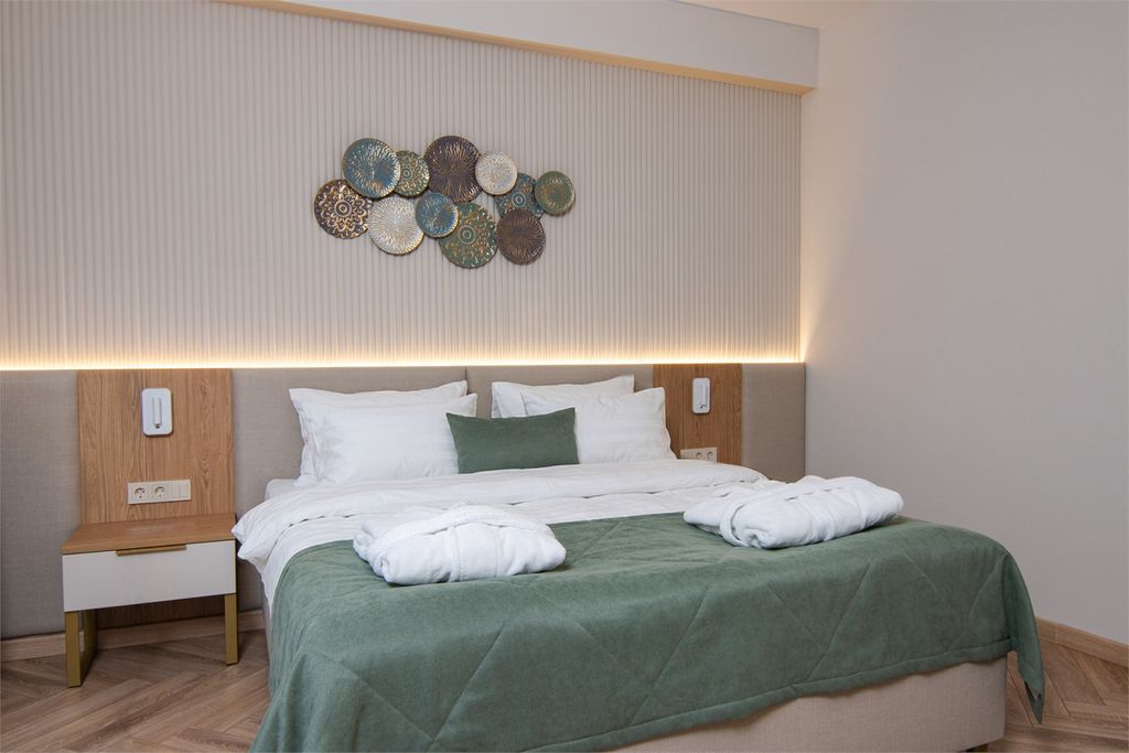 Двухместный номер с 1 кроватью Люкс