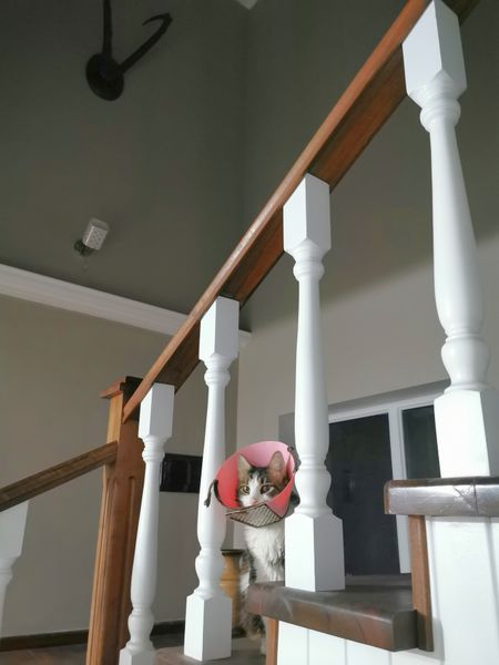 Холл - лестница на 2 этаж - общая зона