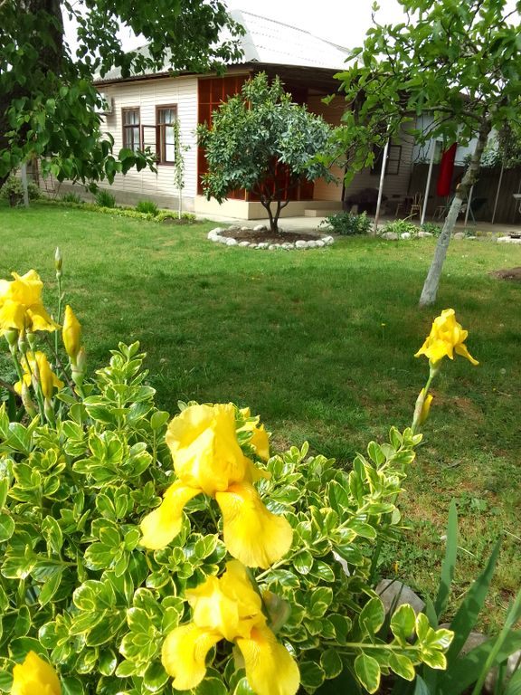 Семейный номер стандарт