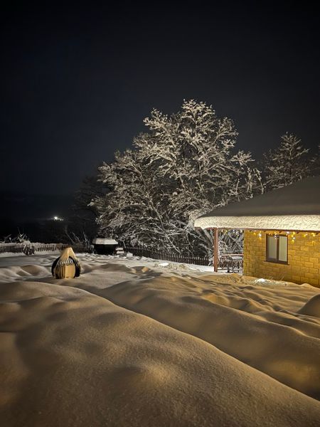 Внешний вид территории зимой