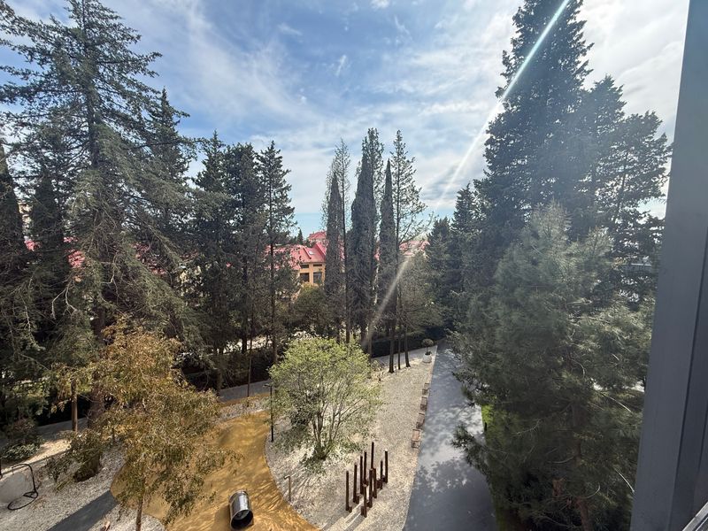 Вид из окна