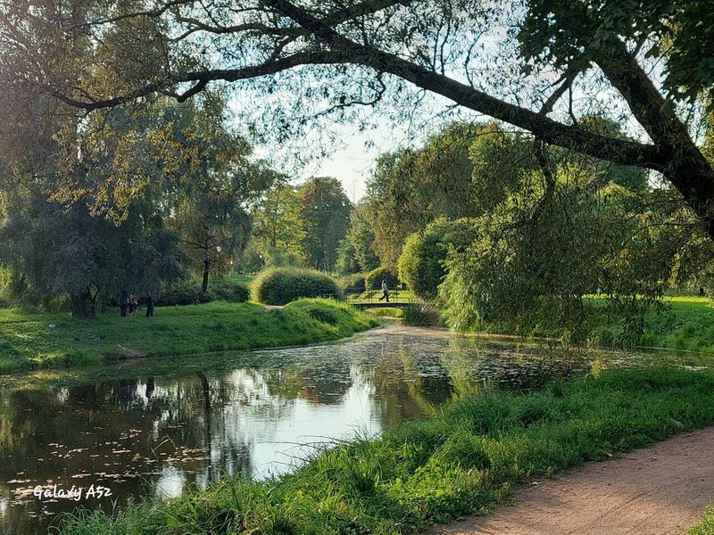 Парк "Куракина Дача" в 5 минутах ходьбы