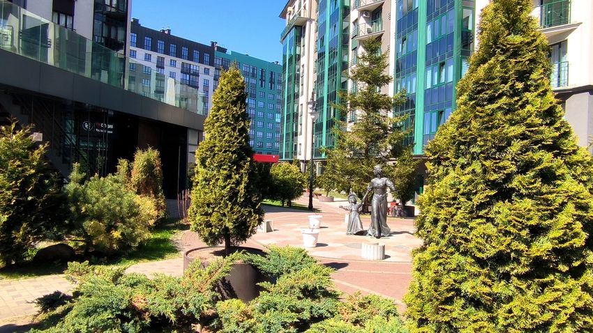 Территория двора