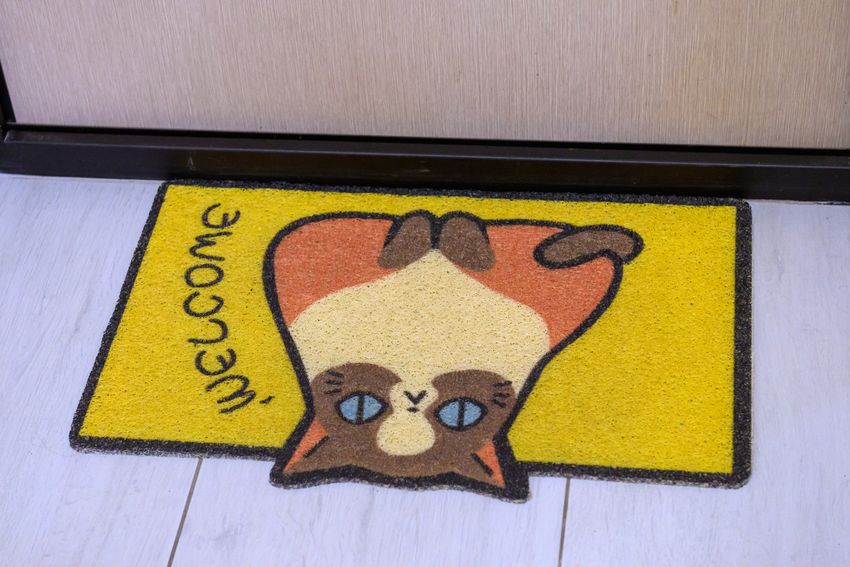 И милый коврик что бы не забывали в каком вы городе отдыхаете. В городе котов и спокойствия, около моря - Зеленоградск!