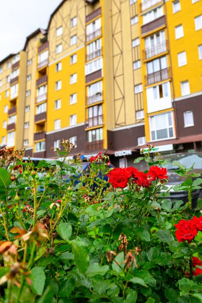 Вид на дом со стороны дороги.