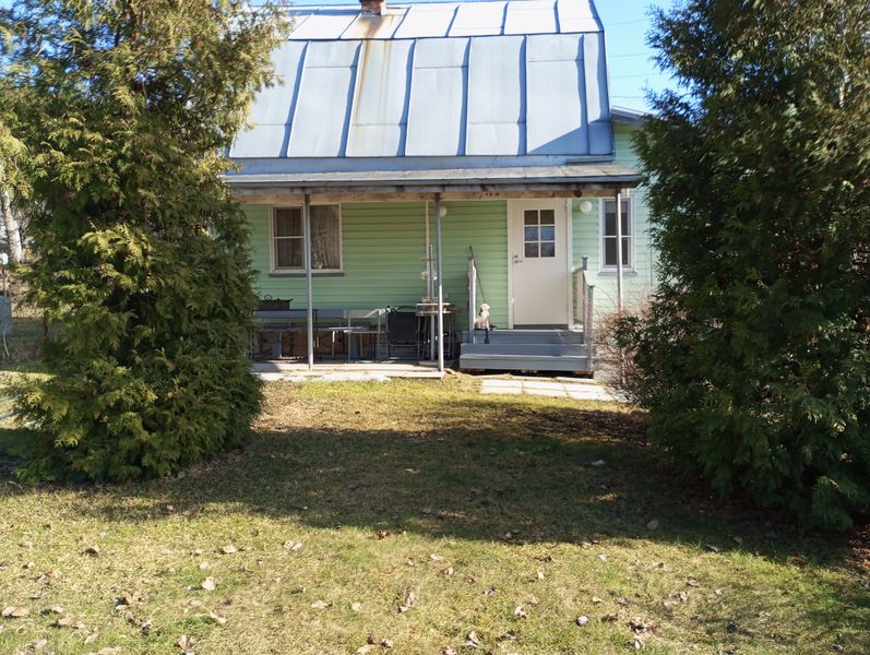  Внутри участка 