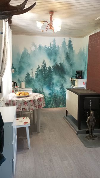 Дровяная печь