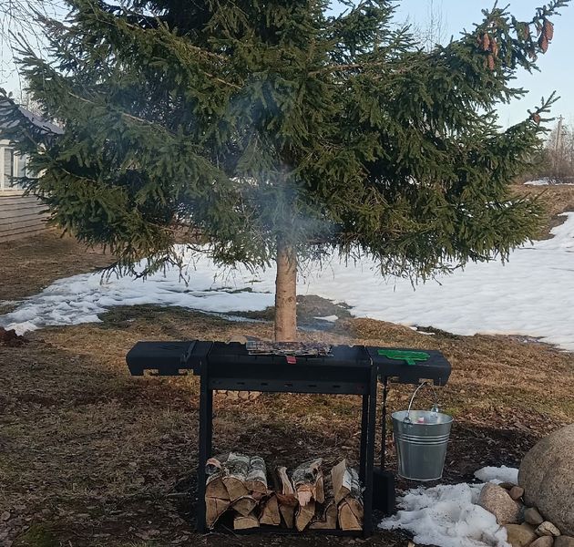 Мангальная зона