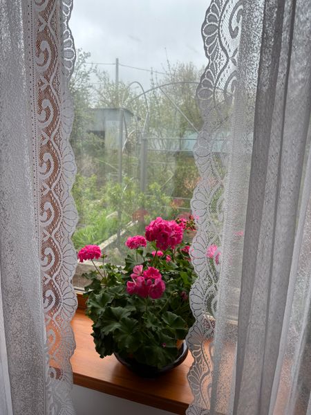Фото