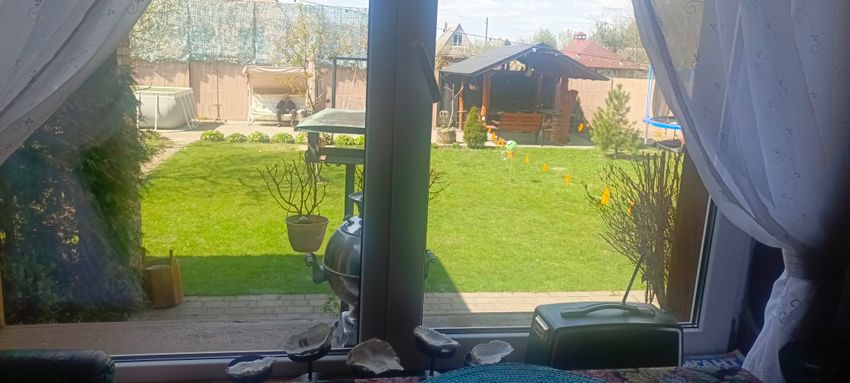 Вид во двор
