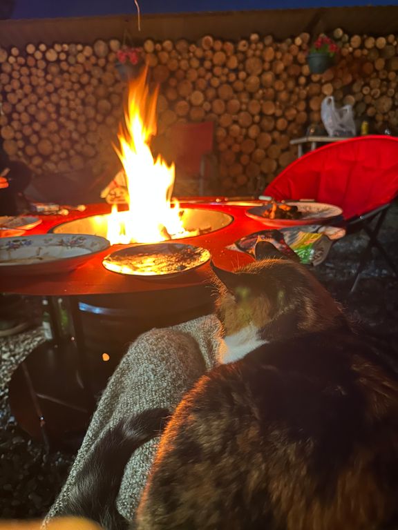 Костровая зона