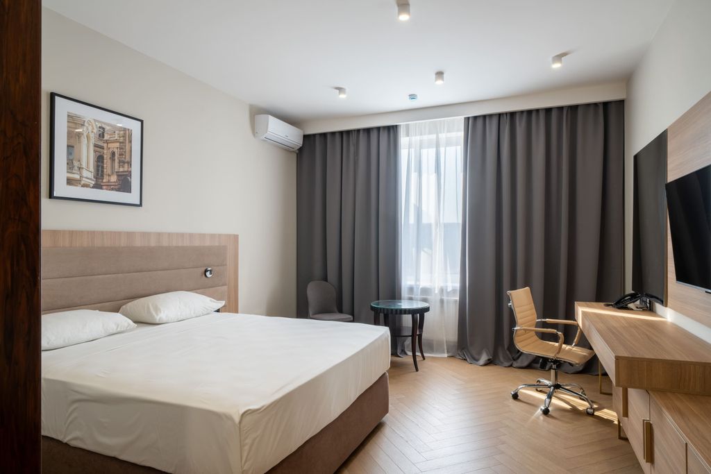 Двухместный номер с 1 кроватью Стандарт с кроватью King-size и раскладным креслом