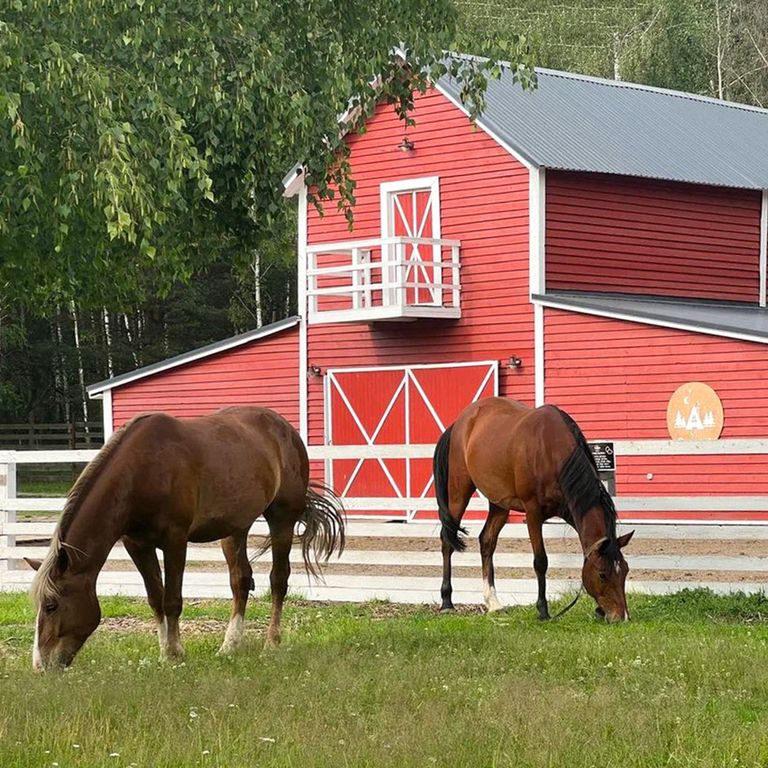Четырёхместный номер большой треугольник
