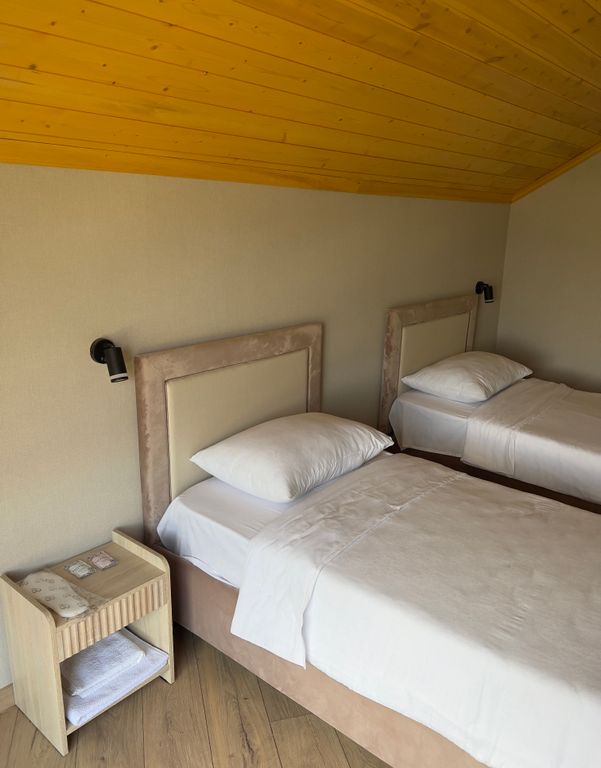 Двухместный номер с 2 отдельными кроватями стандарт с видом на горы