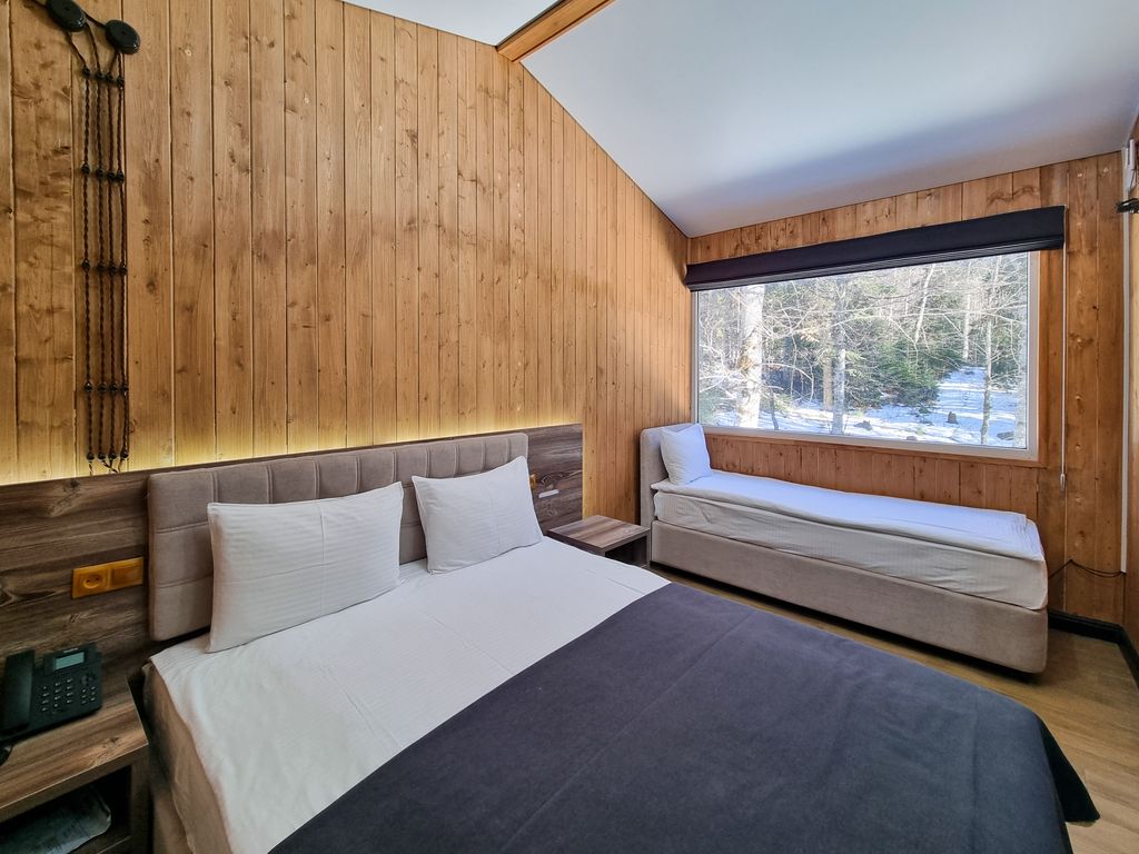 Двухместный номер с 1 кроватью Стандарт с видом на лес