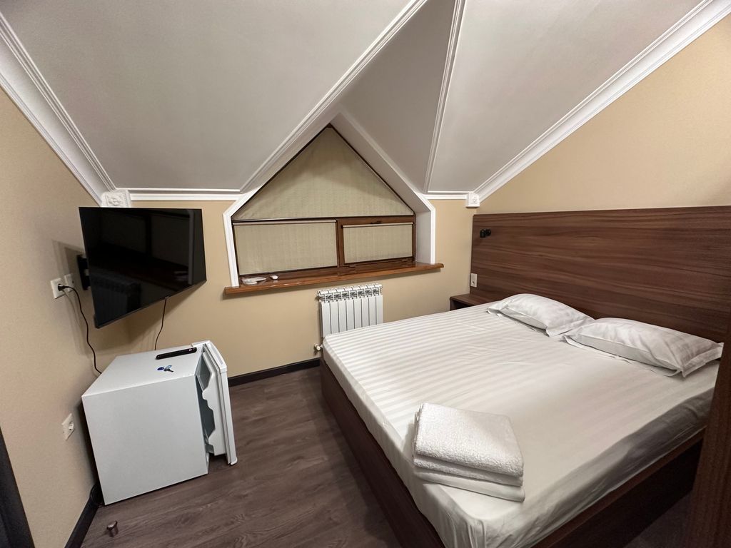 Двухместный номер с 1 кроватью стандарт с видом на город