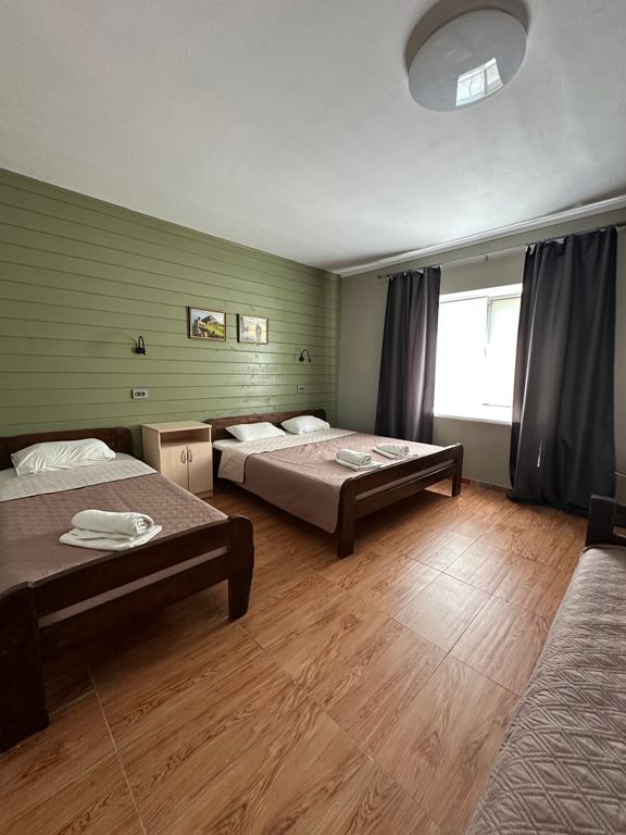 Двухместный номер с 1 кроватью уютный семейный фисташковый