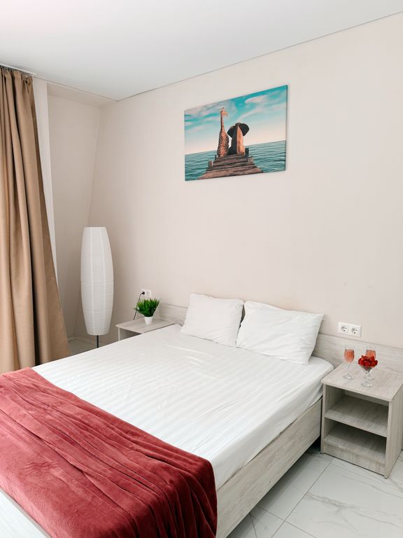 Двухместный номер с 1 кроватью комфорт с балконом