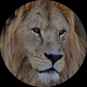 Руслан Шакиров