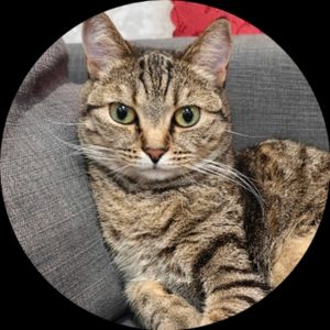 Юлия Черемнова