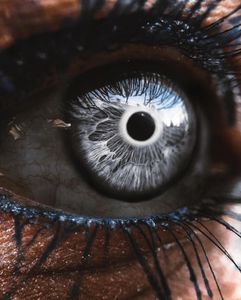 Николай Суточный