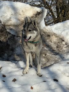 Евгения Терюкалова