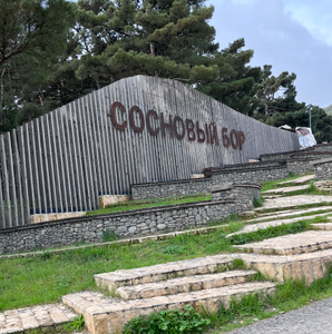 Диана Сагидова