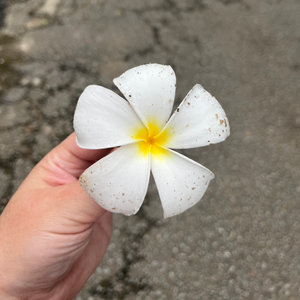 Ольга Косачева