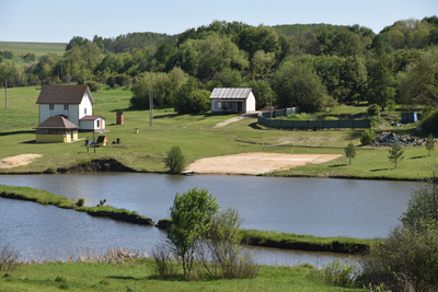 Юлия Моисеева