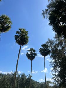 Гаджи Амаев