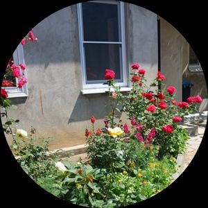 Ирина Докелина