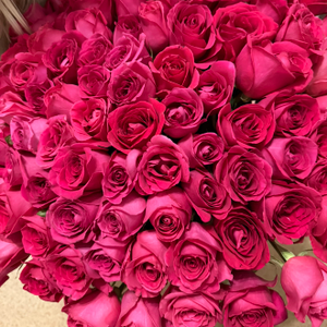 Анна Иванова