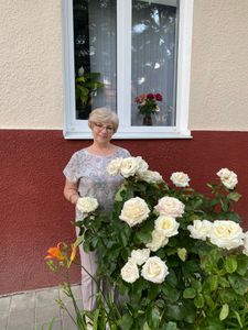 Татьяна Шум