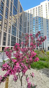 Алексей Давыдов