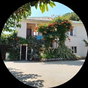 Седа Барцикян