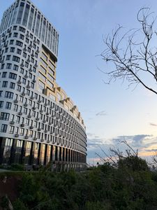 Наталья Вишнякова