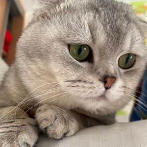 Маргарита Русак