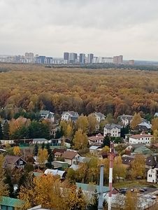 Роман Усанов