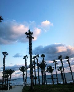 Тимур Агаев