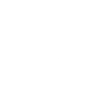 Пользователь