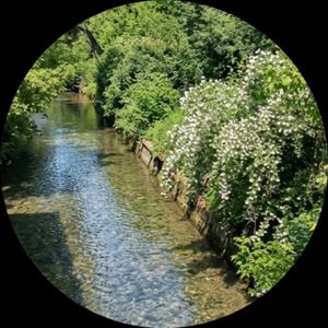 Мэри Туманова