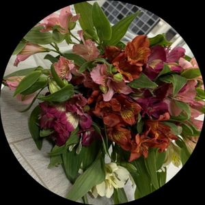 Анна Попова