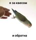Елизавета