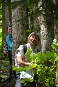 Елена Литвиненко