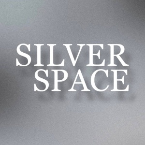 Silver Space