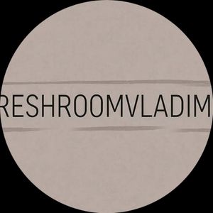 FreshRoomVladimir