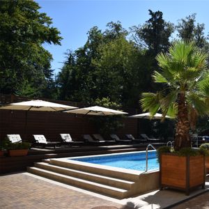 Романов пальм