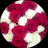 Елена Гиляжева