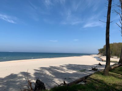 Олег Владиславович